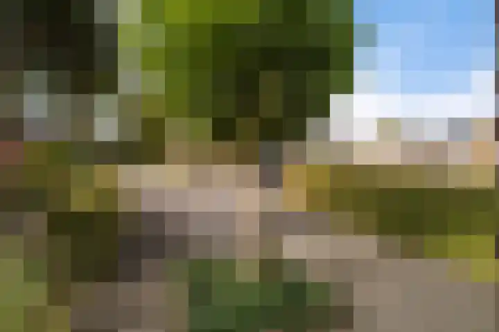 Zonnebloemstraat 4 Heerenveen thumbnail 9