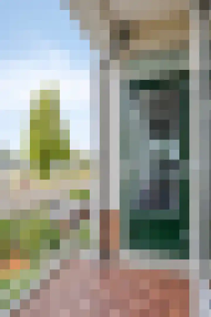 Zonnebloemstraat 40 B Rotterdam thumbnail 22