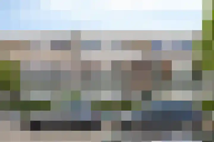 Zonnebloemstraat 40 B Rotterdam thumbnail 24