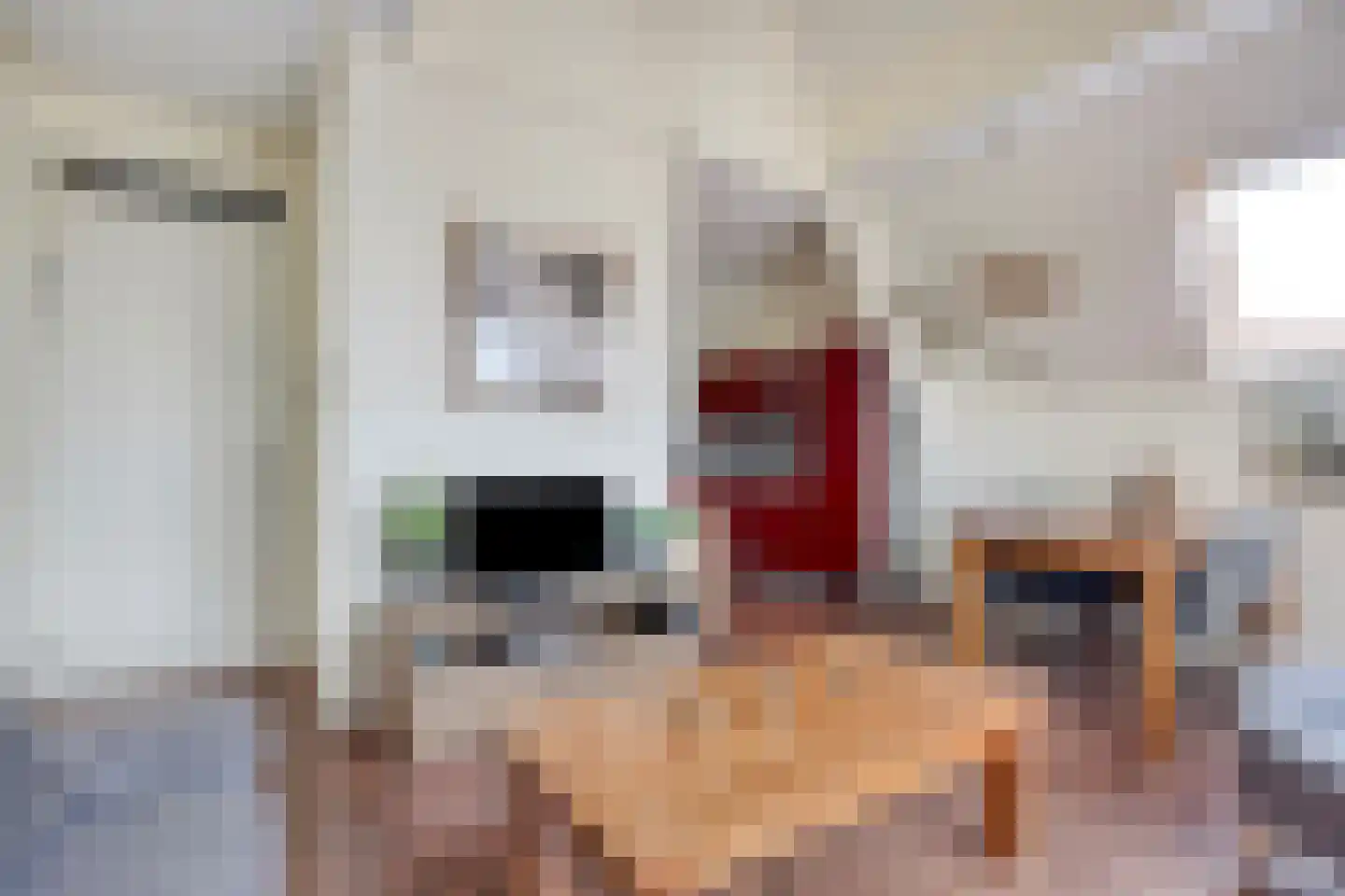 Zonnebloemstraat 41 Hippolytushoef thumbnail 18