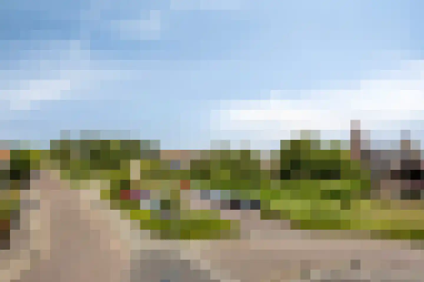Zonnebloemstraat 41 Hippolytushoef thumbnail 26