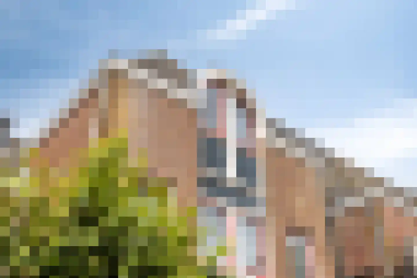 Zonnebloemstraat 41 Hippolytushoef thumbnail 37