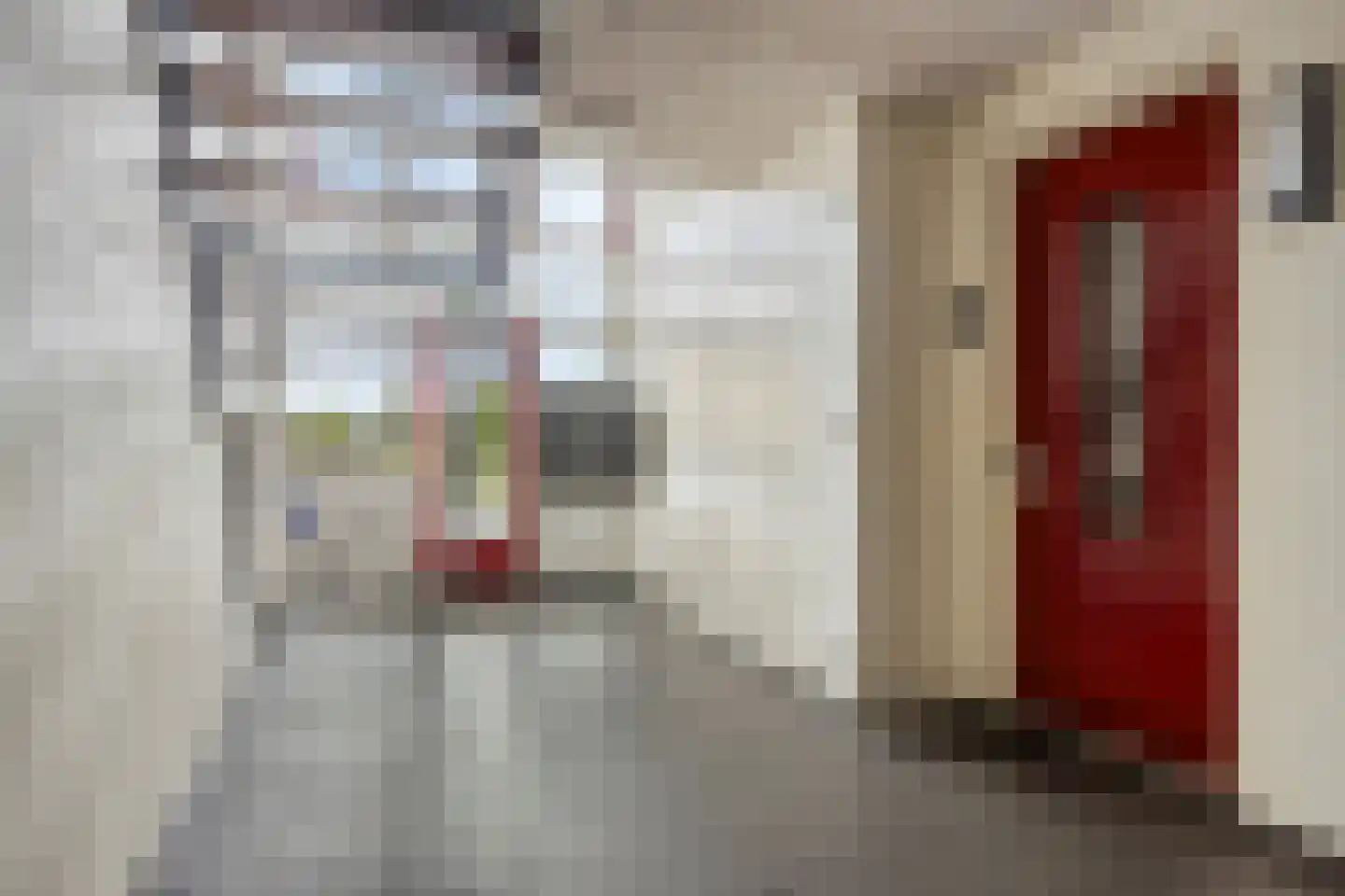 Zonnebloemstraat 41 Hippolytushoef thumbnail 8