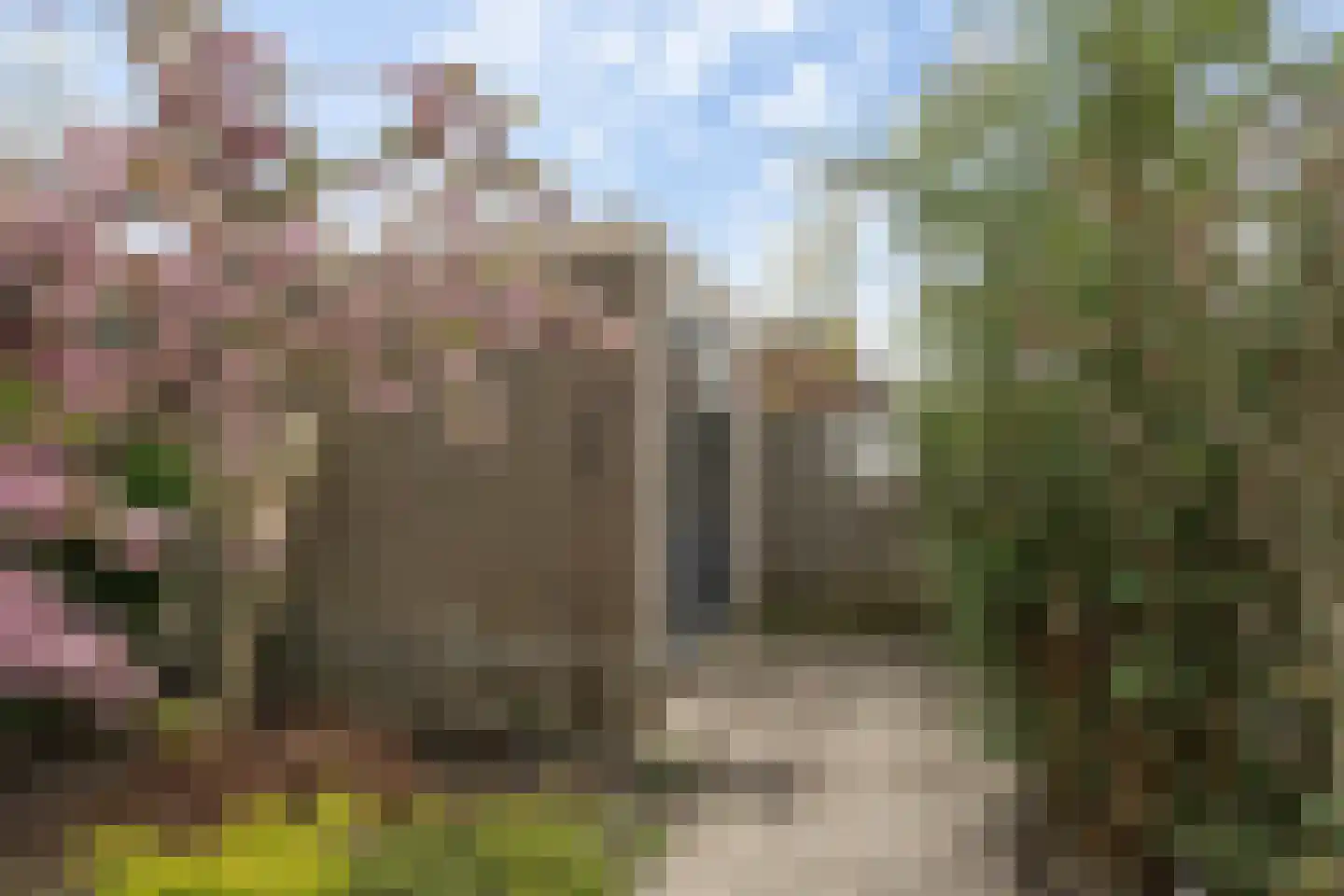 Zonnebloemstraat 42 Katwijk thumbnail 31
