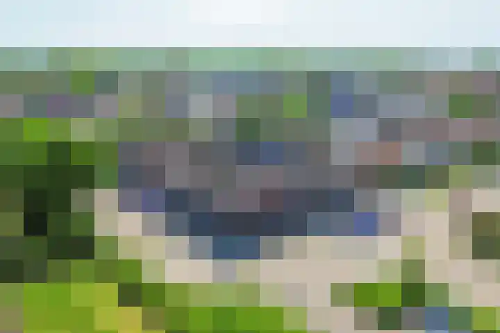 Zonnebloemstraat 43 Hippolytushoef thumbnail 21