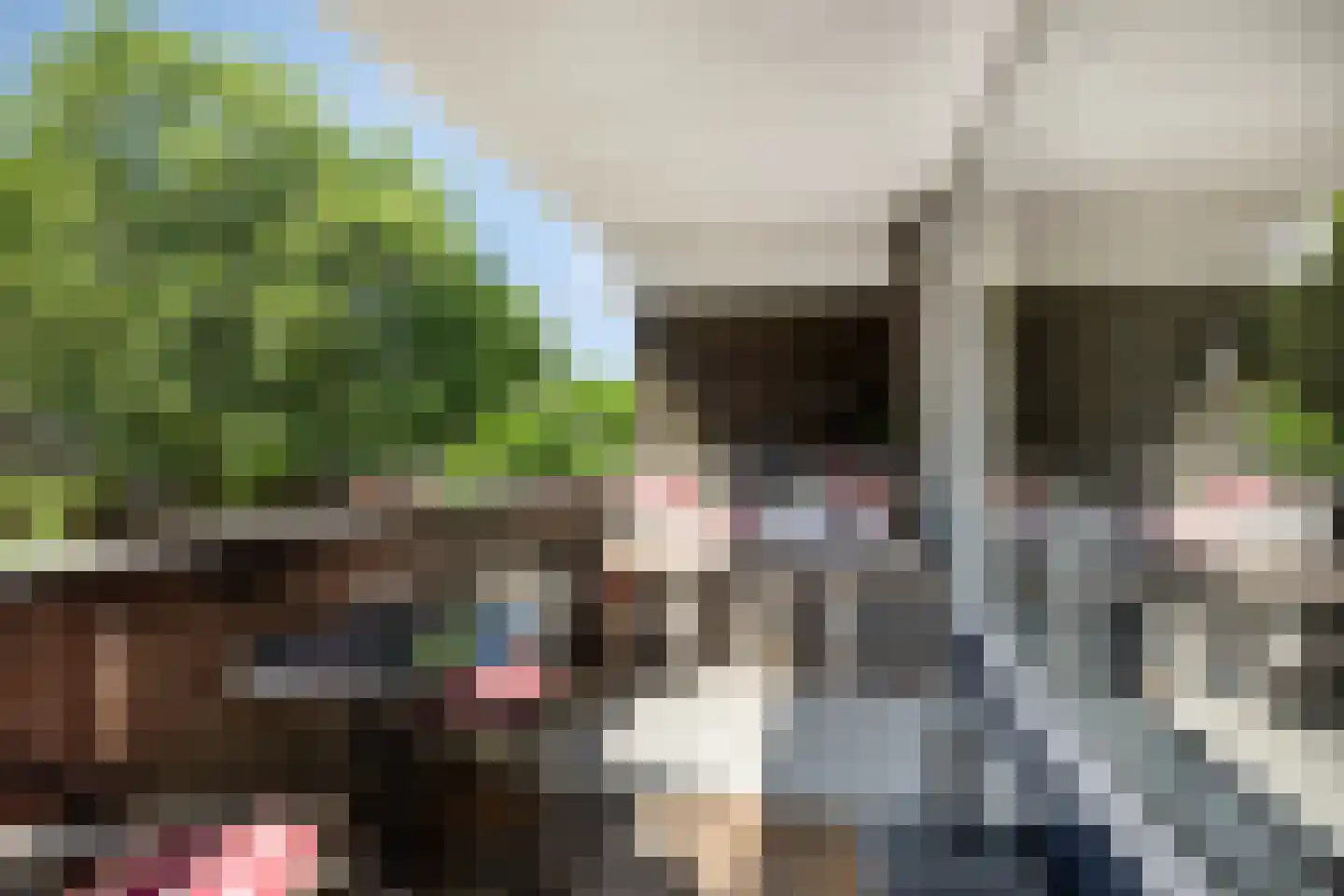 Zonnebloemstraat 43 Oss thumbnail 10
