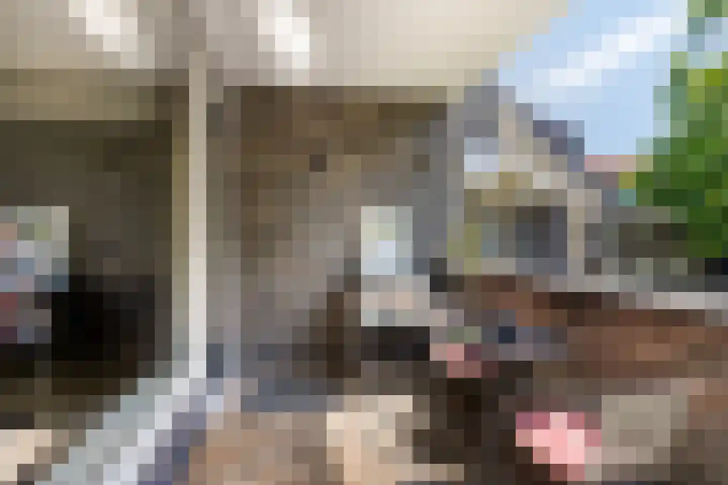 Zonnebloemstraat 43 Oss thumbnail 11
