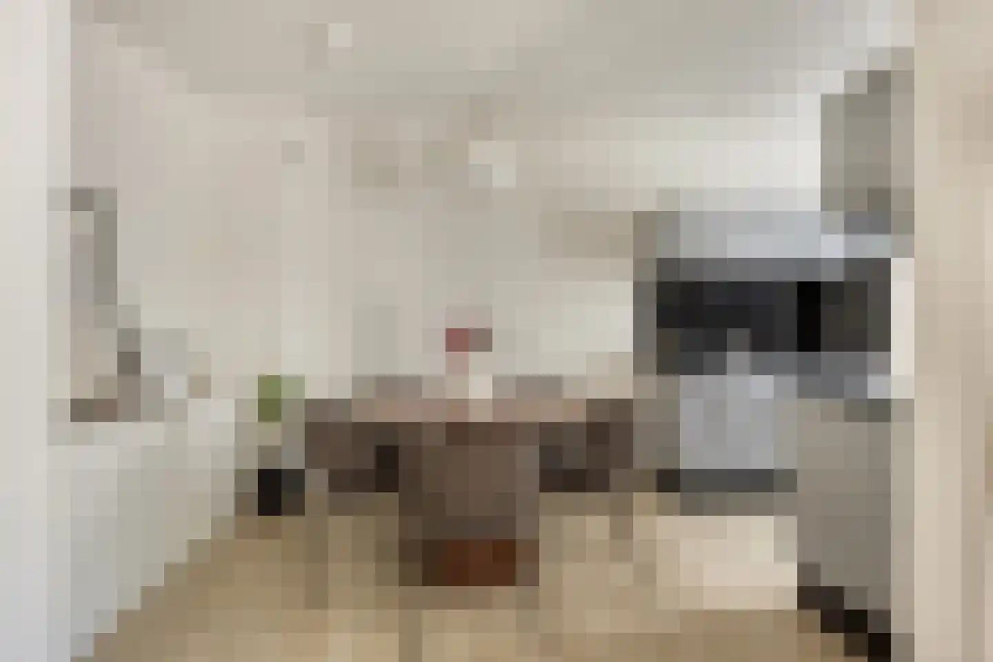 Zonnebloemstraat 43 Oss thumbnail 12