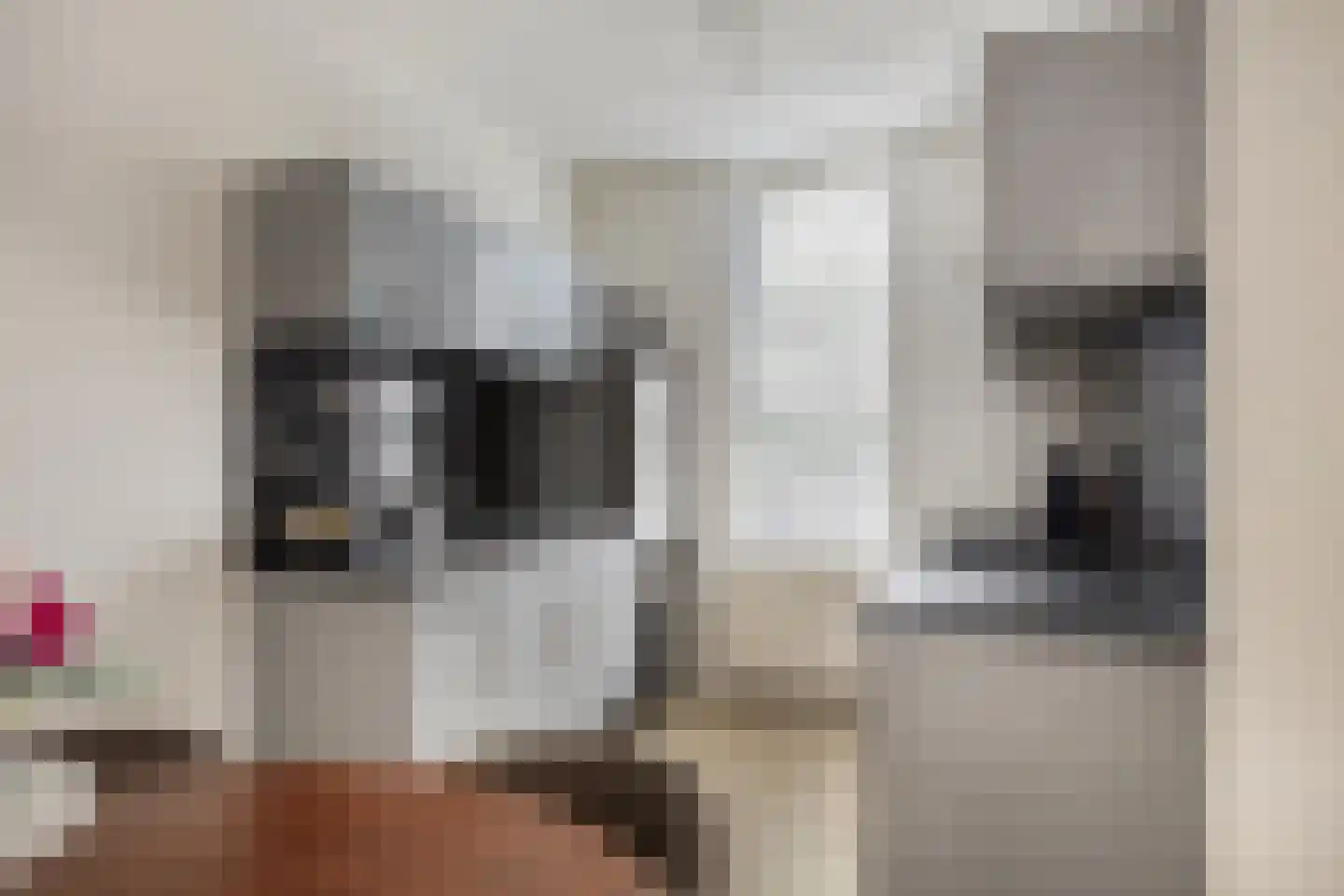 Zonnebloemstraat 43 Oss thumbnail 13