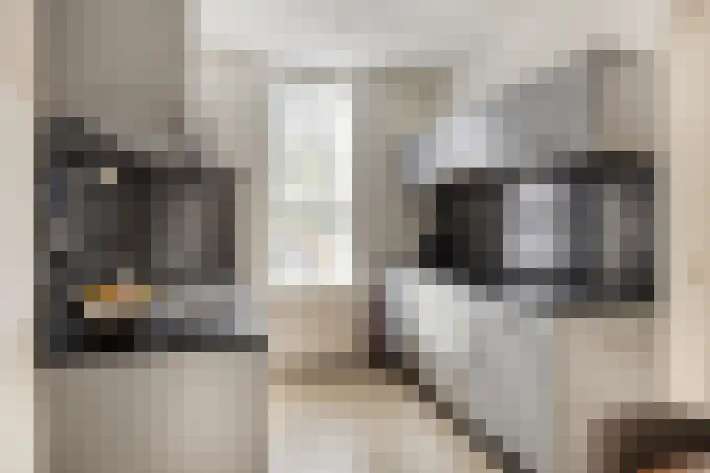 Zonnebloemstraat 43 Oss thumbnail 14