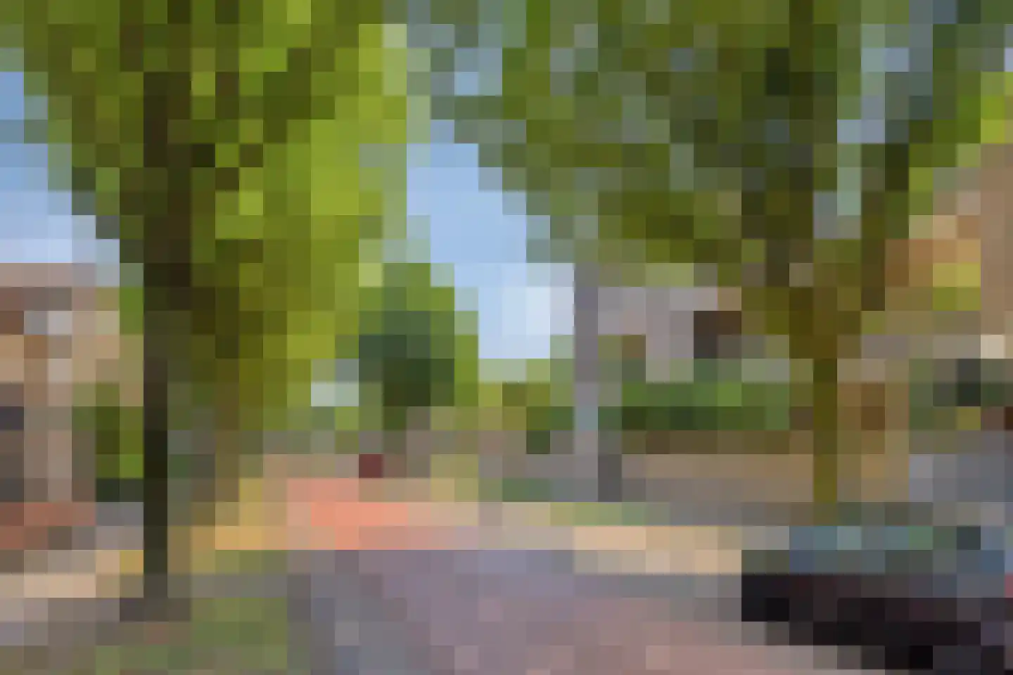 Zonnebloemstraat 43 Oss thumbnail 23