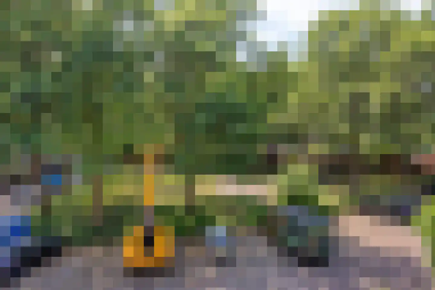 Zonnebloemstraat 43 Oss thumbnail 24