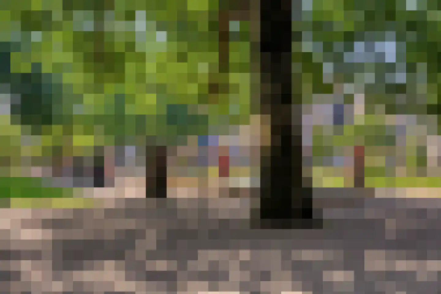 Zonnebloemstraat 43 Oss thumbnail 26