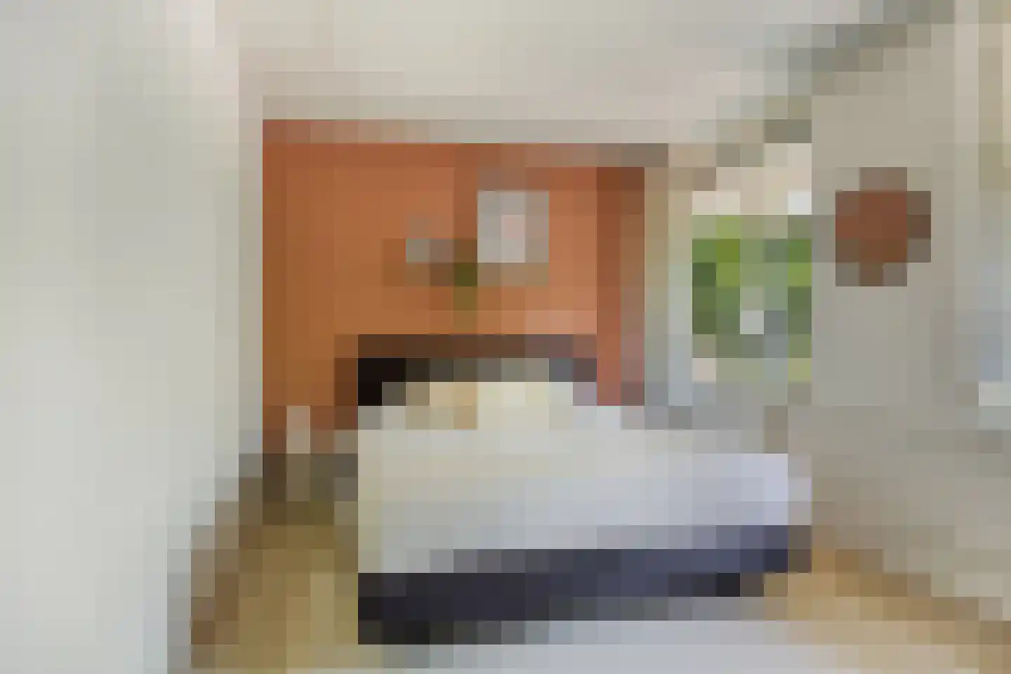 Zonnebloemstraat 43 Oss thumbnail 4