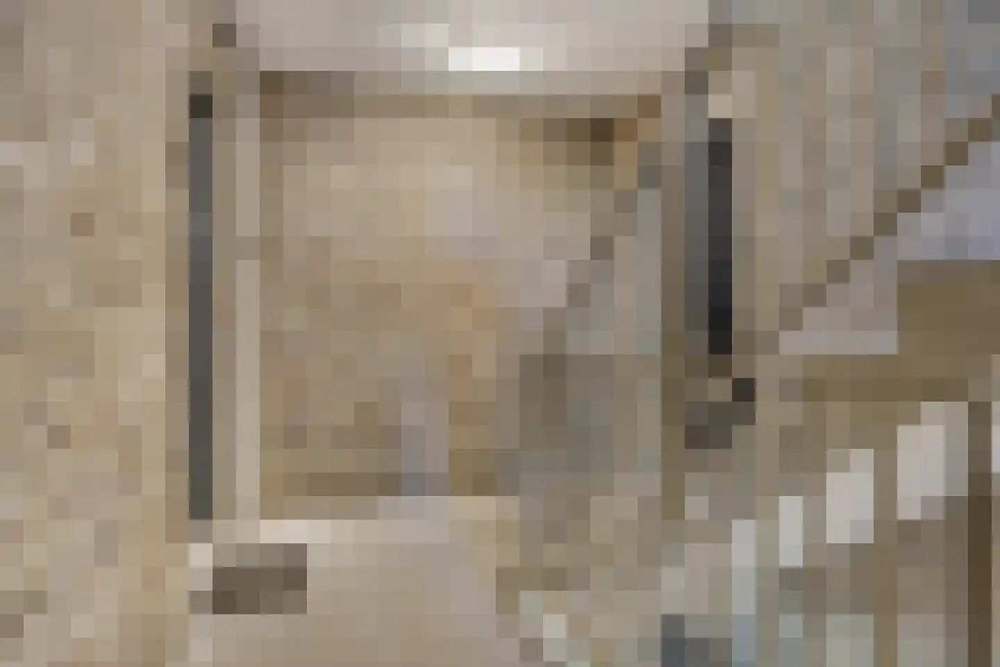Zonnebloemstraat 43 Oss thumbnail 6