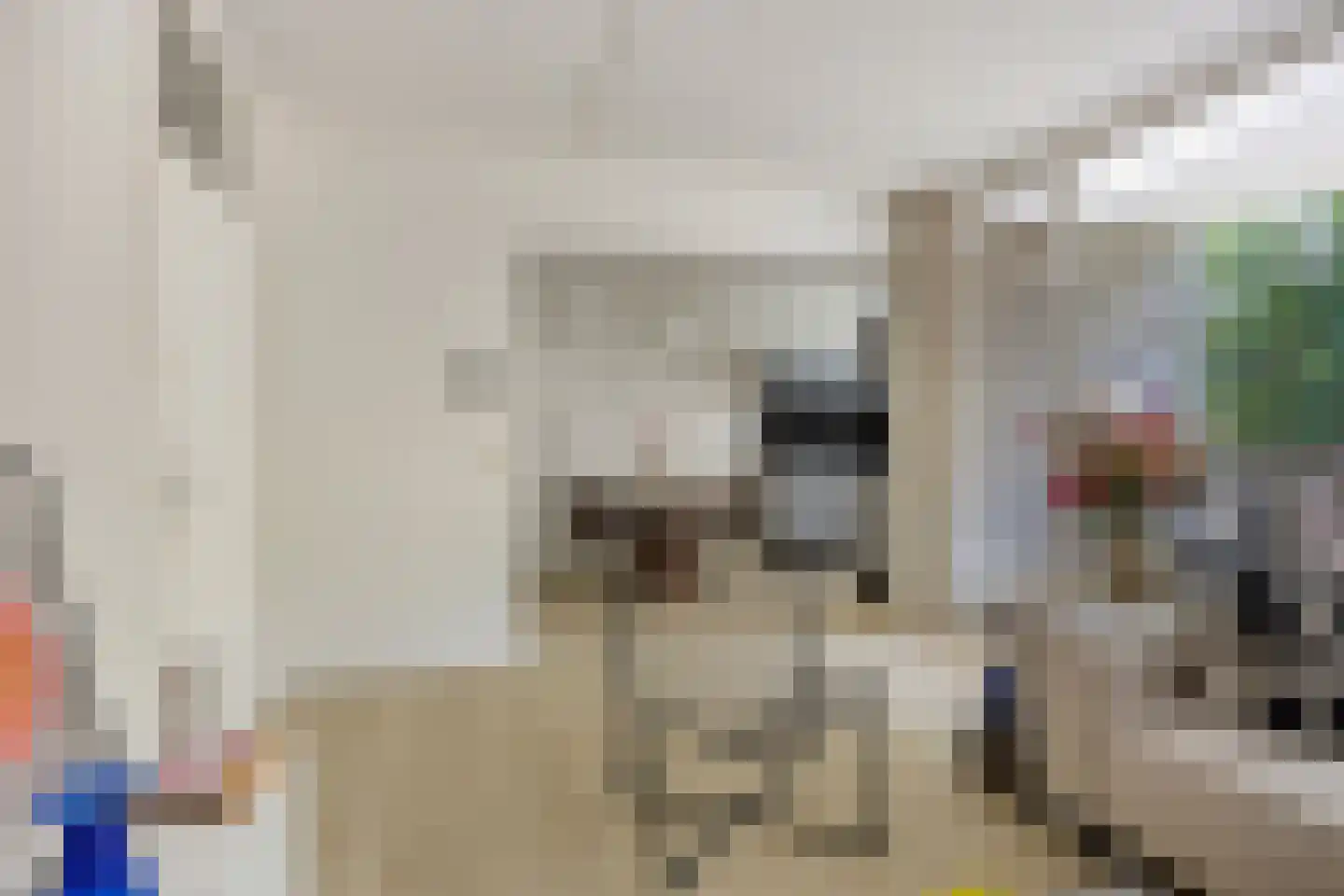 Zonnebloemstraat 43 Oss thumbnail 8