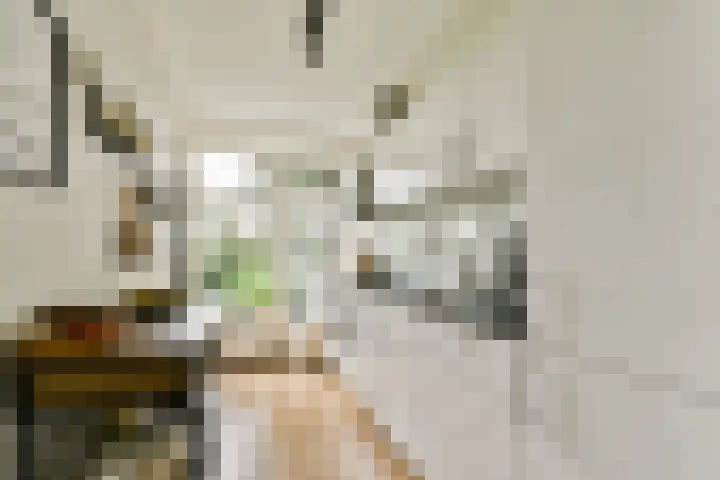 Zonnebloemstraat 44 A Rotterdam thumbnail 5