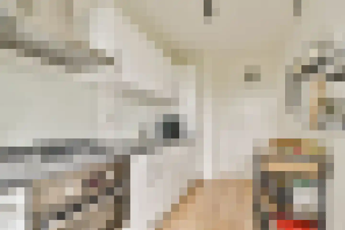 Zonnebloemstraat 44 A Rotterdam thumbnail 6