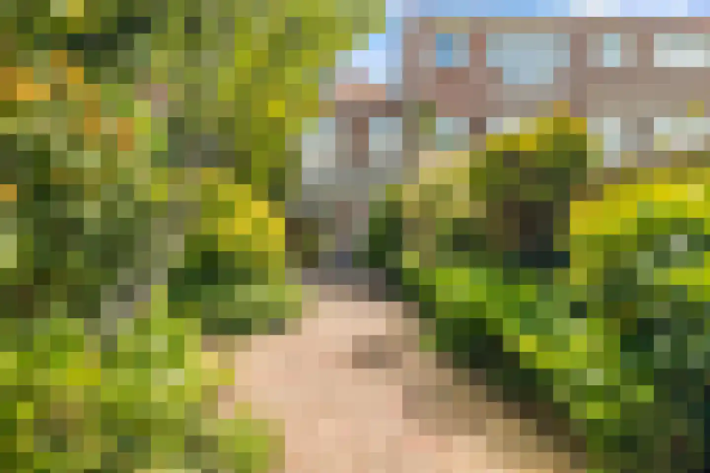 Zonnebloemstraat 44 Haarlem thumbnail 13