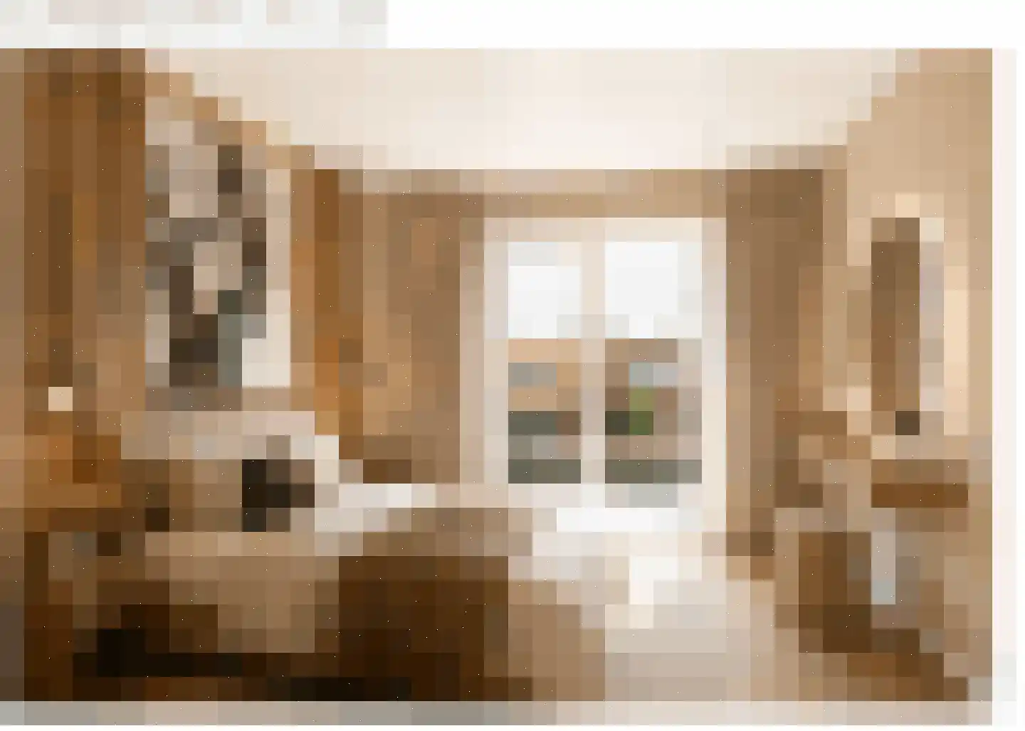 Zonnebloemstraat 44 Haarlem thumbnail 16
