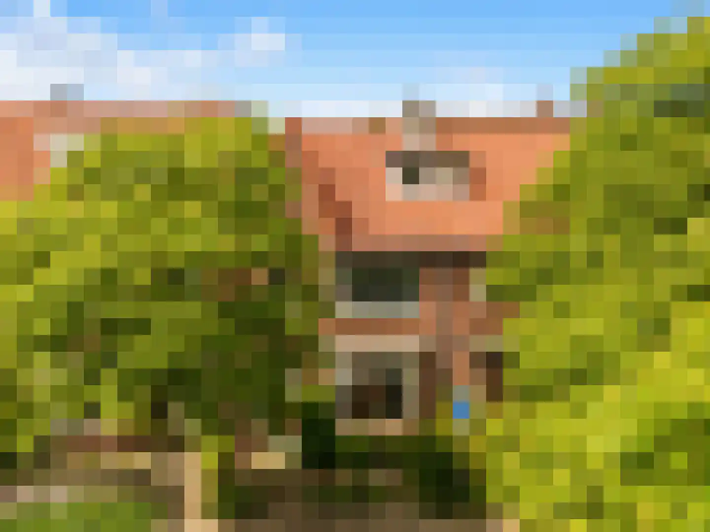 Zonnebloemstraat 44 Haarlem thumbnail 31