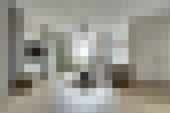 Zonnebloemstraat 46 A Goes thumbnail 7