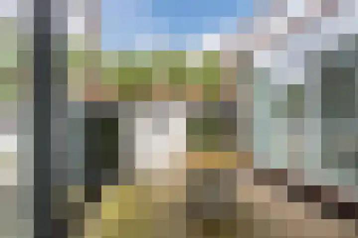 Zonnebloemstraat 46 Papendrecht thumbnail 21
