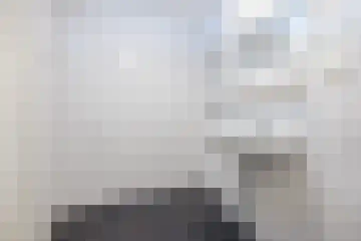 Zonnebloemstraat 46 Papendrecht thumbnail 8