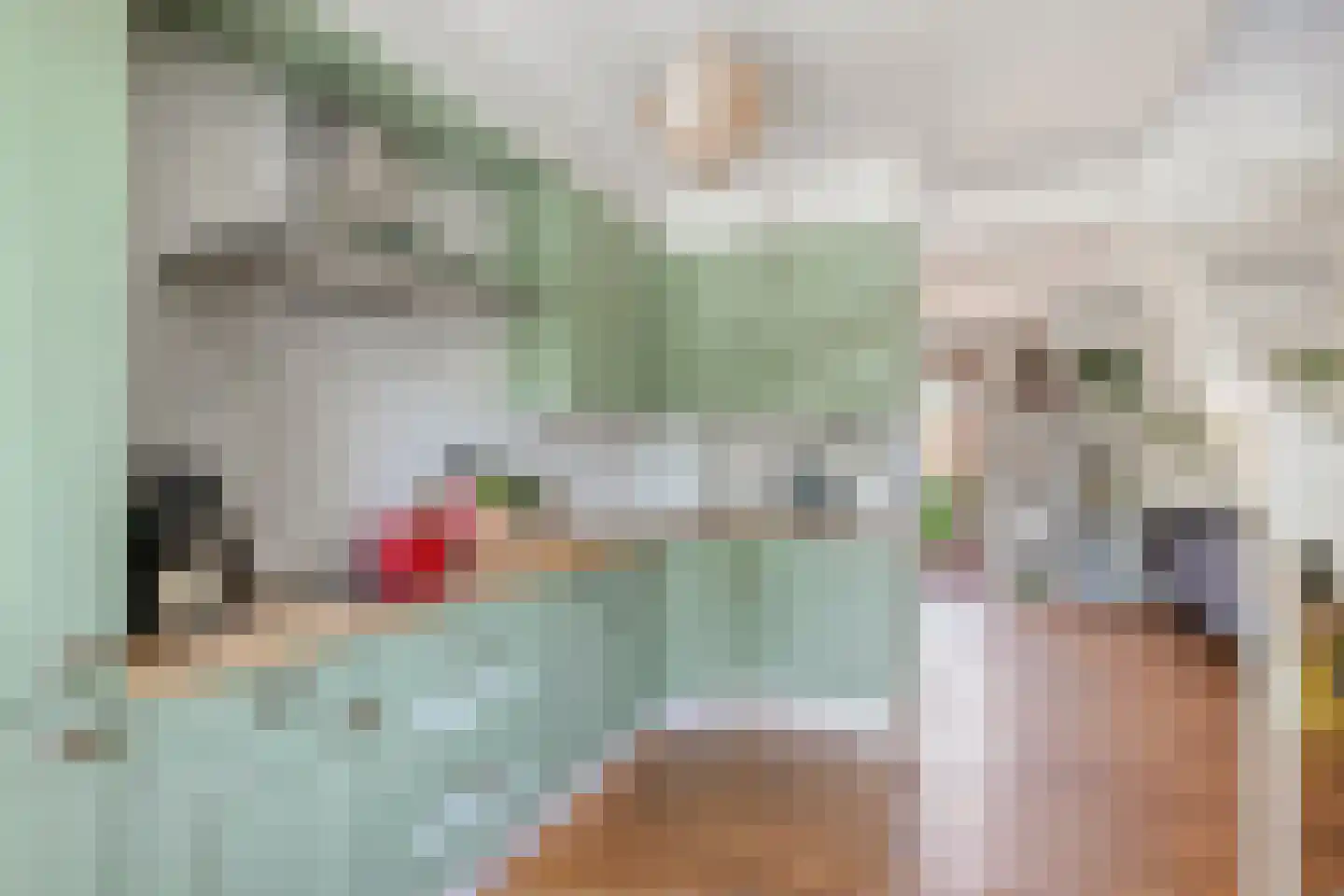 Zonnebloemstraat 47 Zwolle thumbnail 16