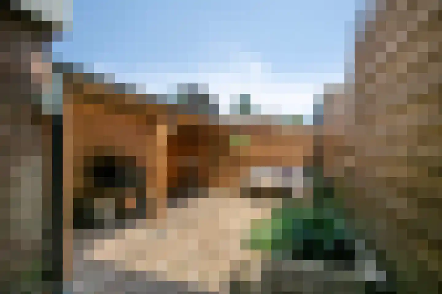 Zonnebloemstraat 47 Zwolle thumbnail 21