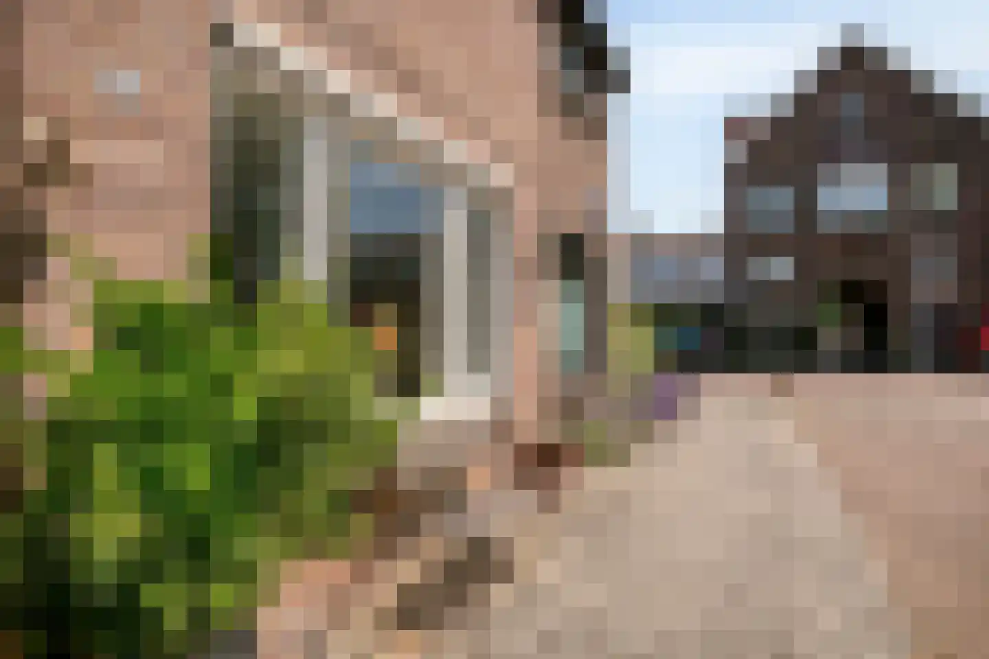 Zonnebloemstraat 47 Zwolle foto 3