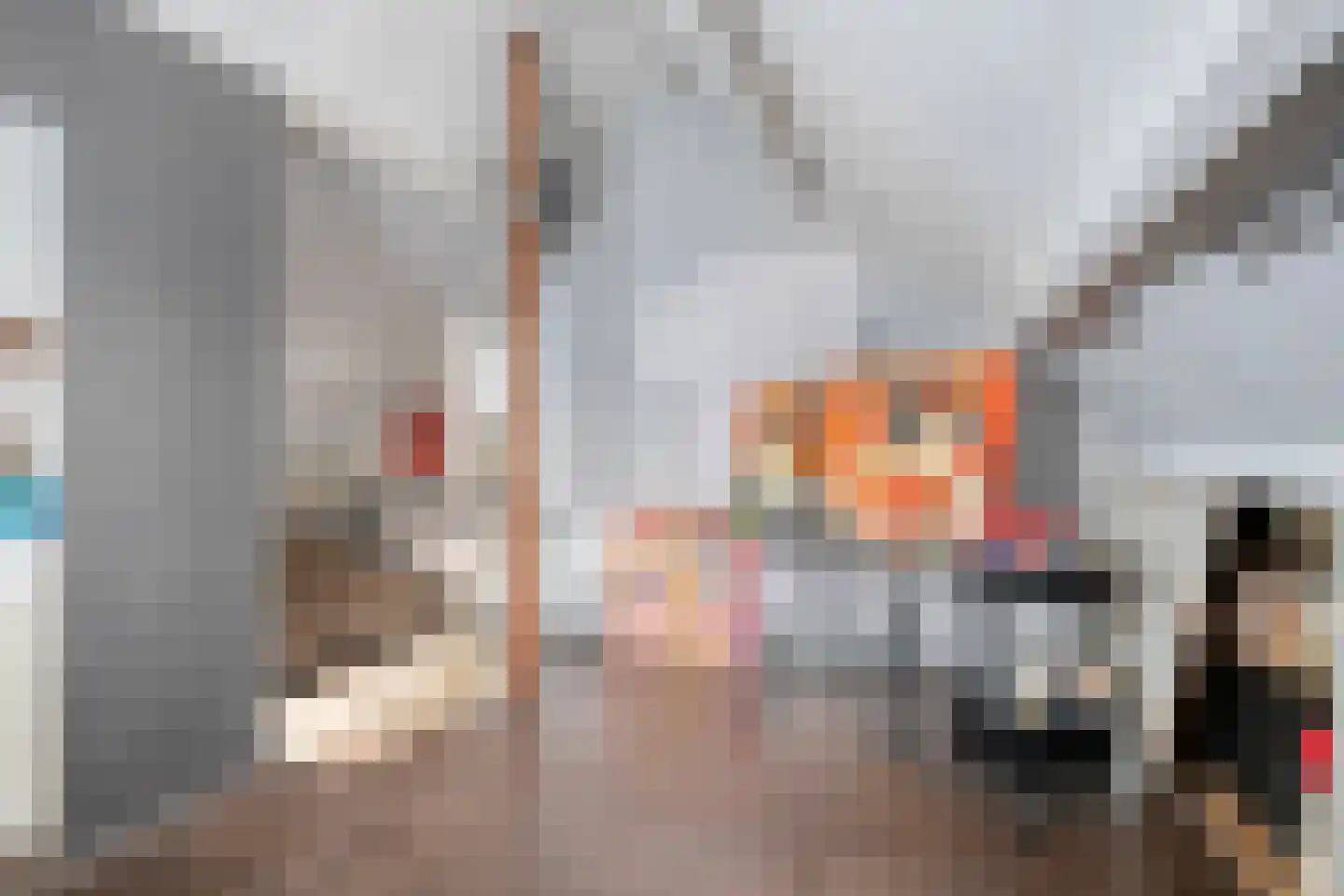Zonnebloemstraat 47 Zwolle thumbnail 36