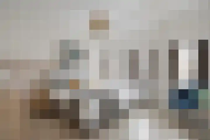 Zonnebloemstraat 5 Zwolle thumbnail 17
