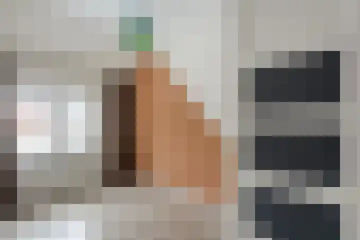 Zonnebloemstraat 5 Zwolle thumbnail 21