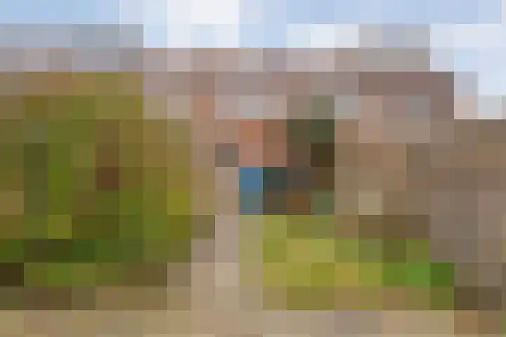 Zonnebloemstraat 5 Zwolle thumbnail 26