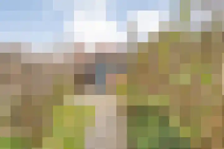 Zonnebloemstraat 5 Zwolle thumbnail 27