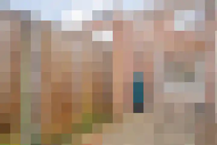 Zonnebloemstraat 5 Zwolle thumbnail 28