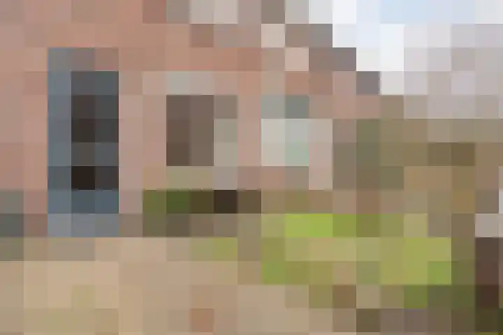Zonnebloemstraat 5 Zwolle thumbnail 30