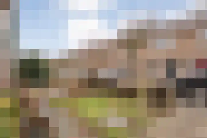 Zonnebloemstraat 5 Zwolle thumbnail 31