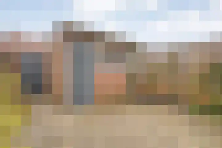 Zonnebloemstraat 5 Zwolle thumbnail 33