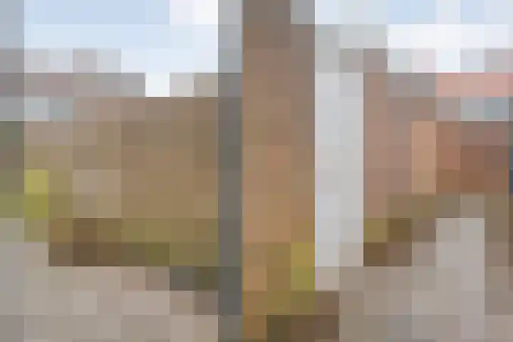 Zonnebloemstraat 5 Zwolle thumbnail 34