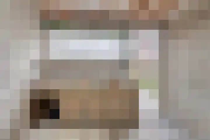 Zonnebloemstraat 5 Zwolle thumbnail 35