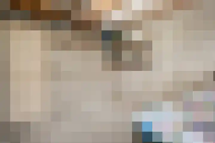 Zonnebloemstraat 5 Zwolle thumbnail 36