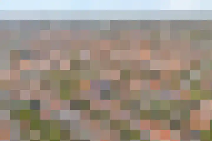 Zonnebloemstraat 5 Zwolle thumbnail 37