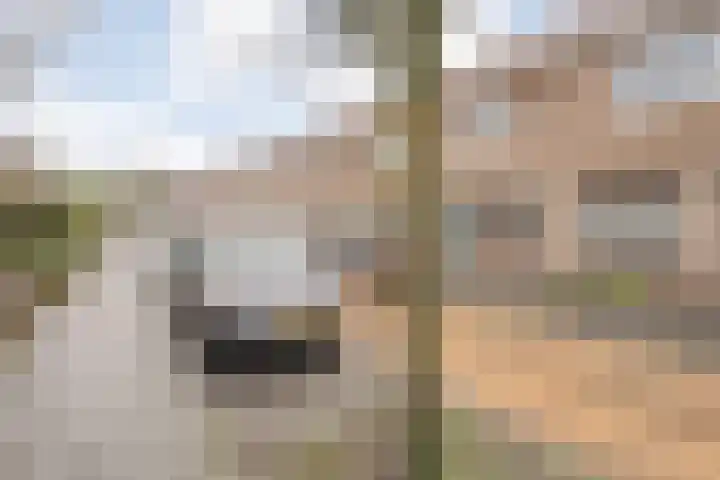 Zonnebloemstraat 5 Zwolle thumbnail 39