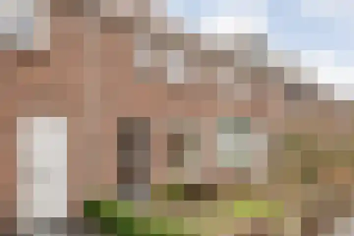 Zonnebloemstraat 5 Zwolle thumbnail 41