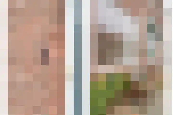 Zonnebloemstraat 5 Zwolle thumbnail 43