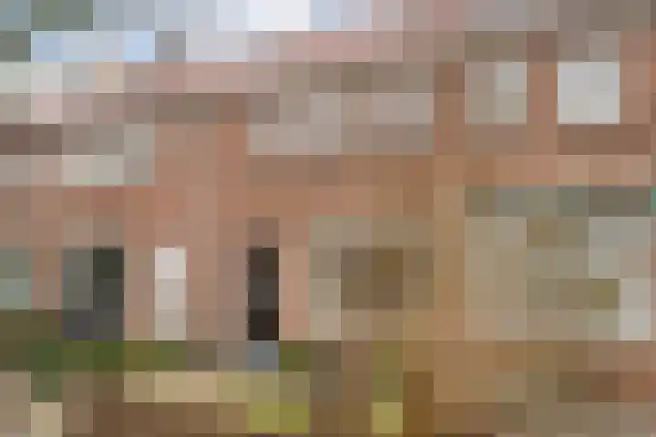 Zonnebloemstraat 5 Zwolle thumbnail 44