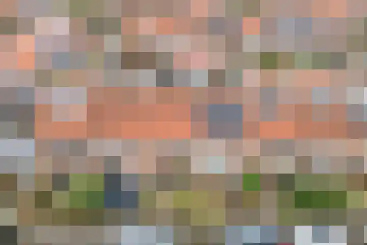 Zonnebloemstraat 5 Zwolle thumbnail 46