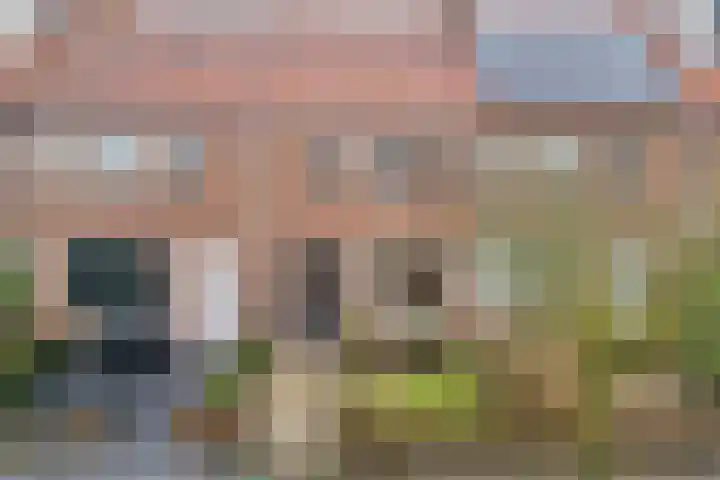 Zonnebloemstraat 5 Zwolle thumbnail 47